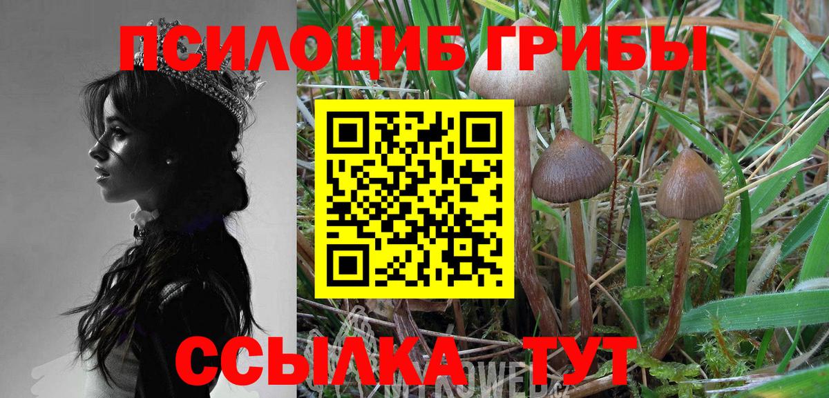 Галлюциногенные грибы Cubensis Долгопрудный