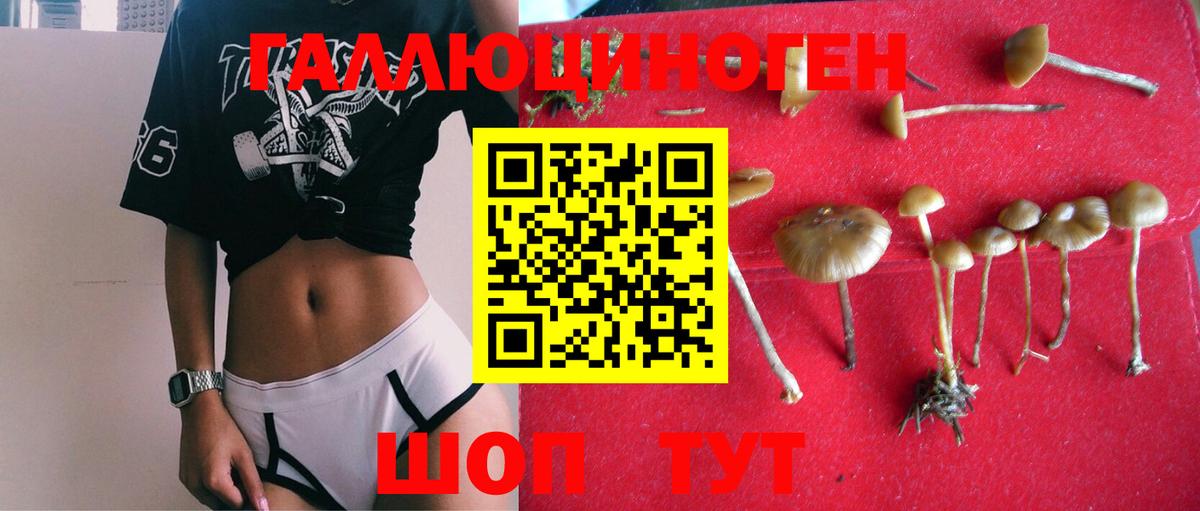 Долгопрудный  Галлюциногенные грибы Magic Shrooms  Вход с VPN 